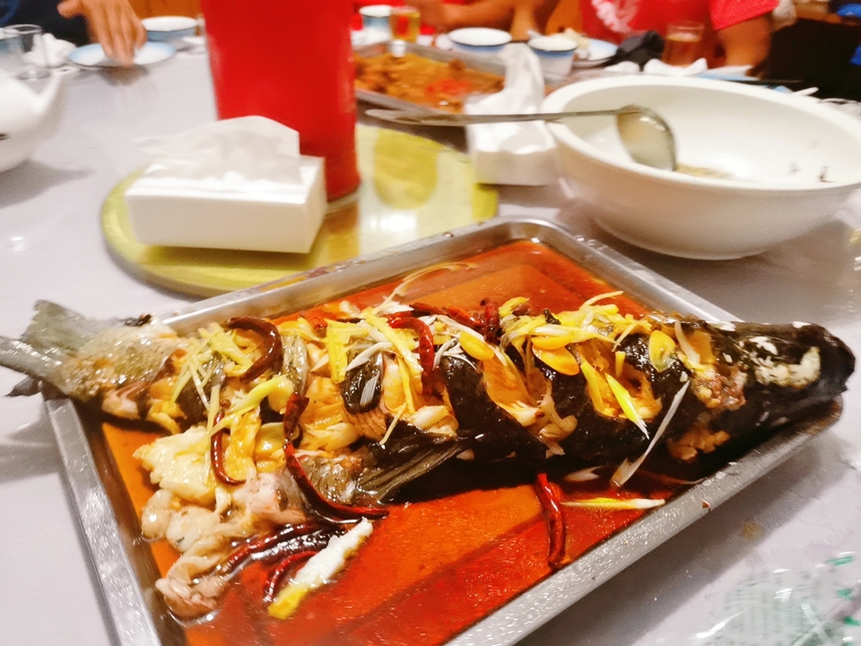 LdKMSikxxo70SypePfzjGLtmaQzHjpCkgPioH3W_o1b4GE99XXWuTDSP7Yb09Duc