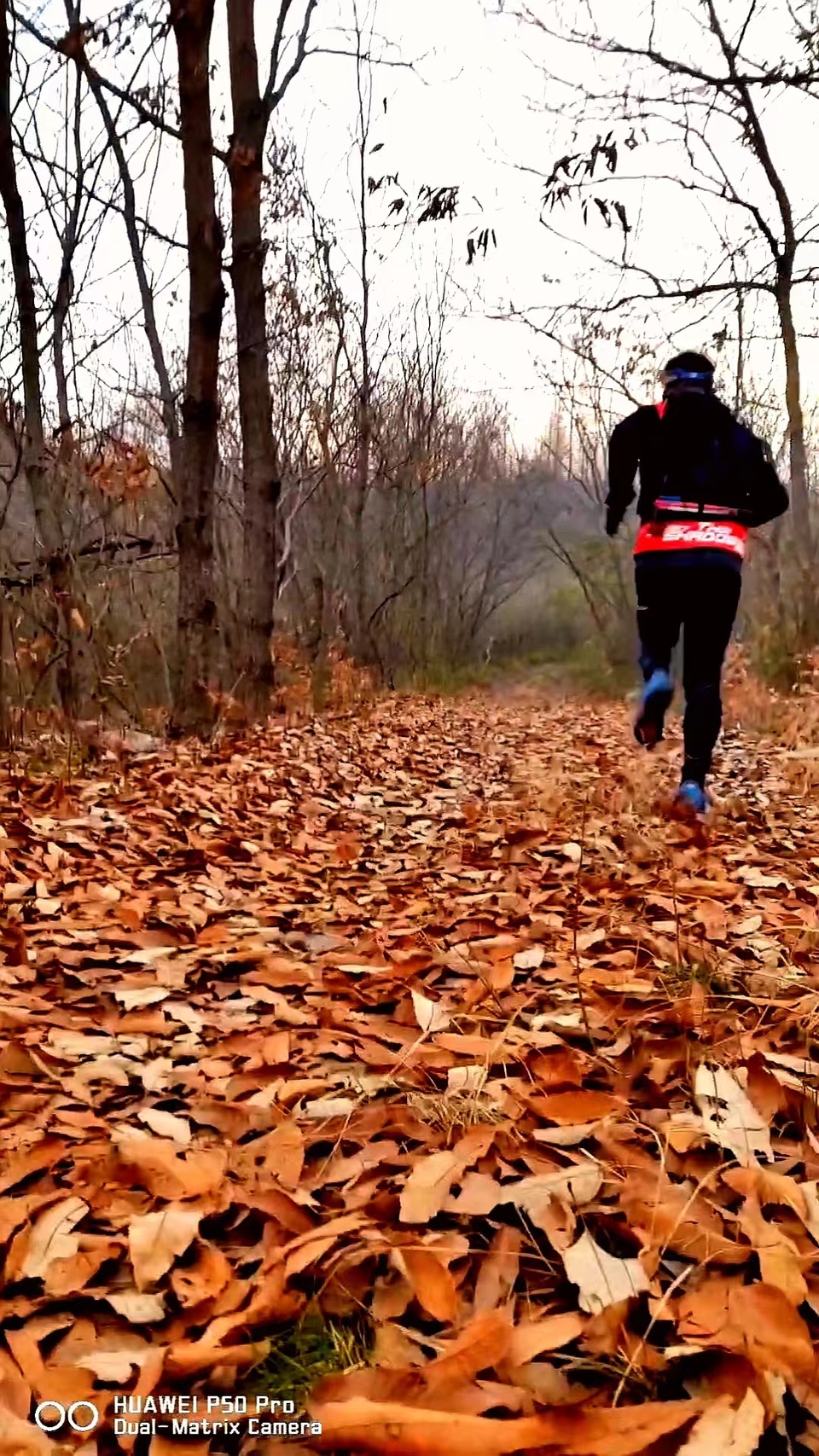 9T8L09uBFLhsjMawi_GCzobHYuHLBlf2rY5djwdvzF0zYlMmEw1eMLyDMRC5VQIo