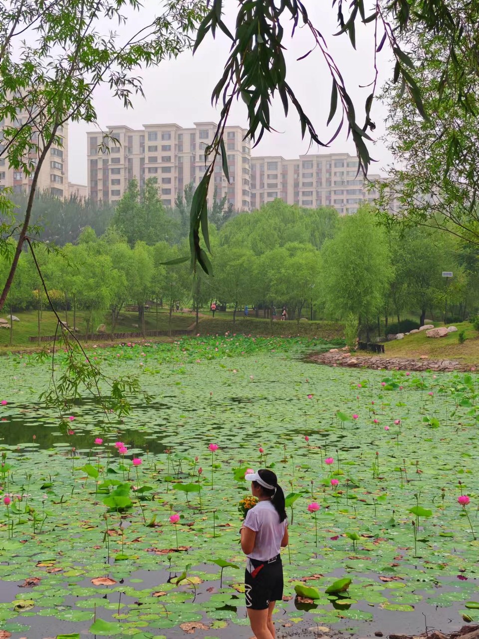 5Oe7h8actXySgQVvoff90T-Ncg1QQ0FLw-GweYFwBWOnFBZKFjpSPtZY0d5z-67d