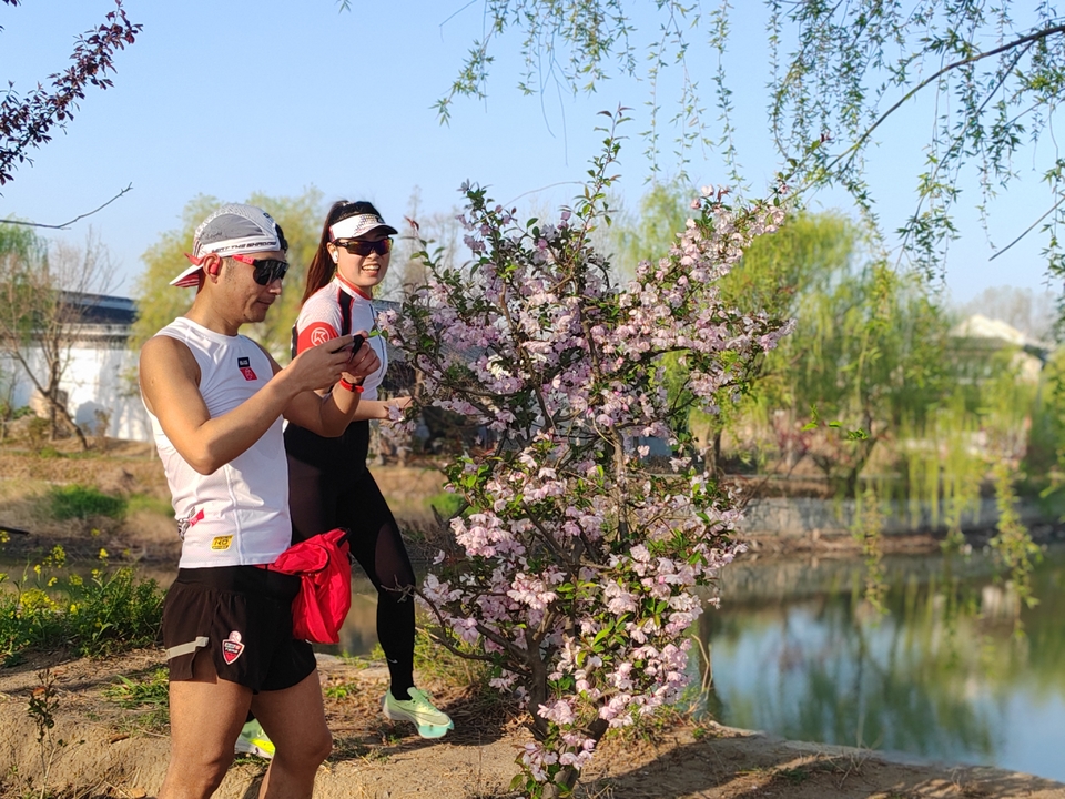 Fp0-BDFYDDO7I-SU3BRKn3pTLb2mvKrDhq2v5p2-ObderlOugPptIzbi4gNZjmGH