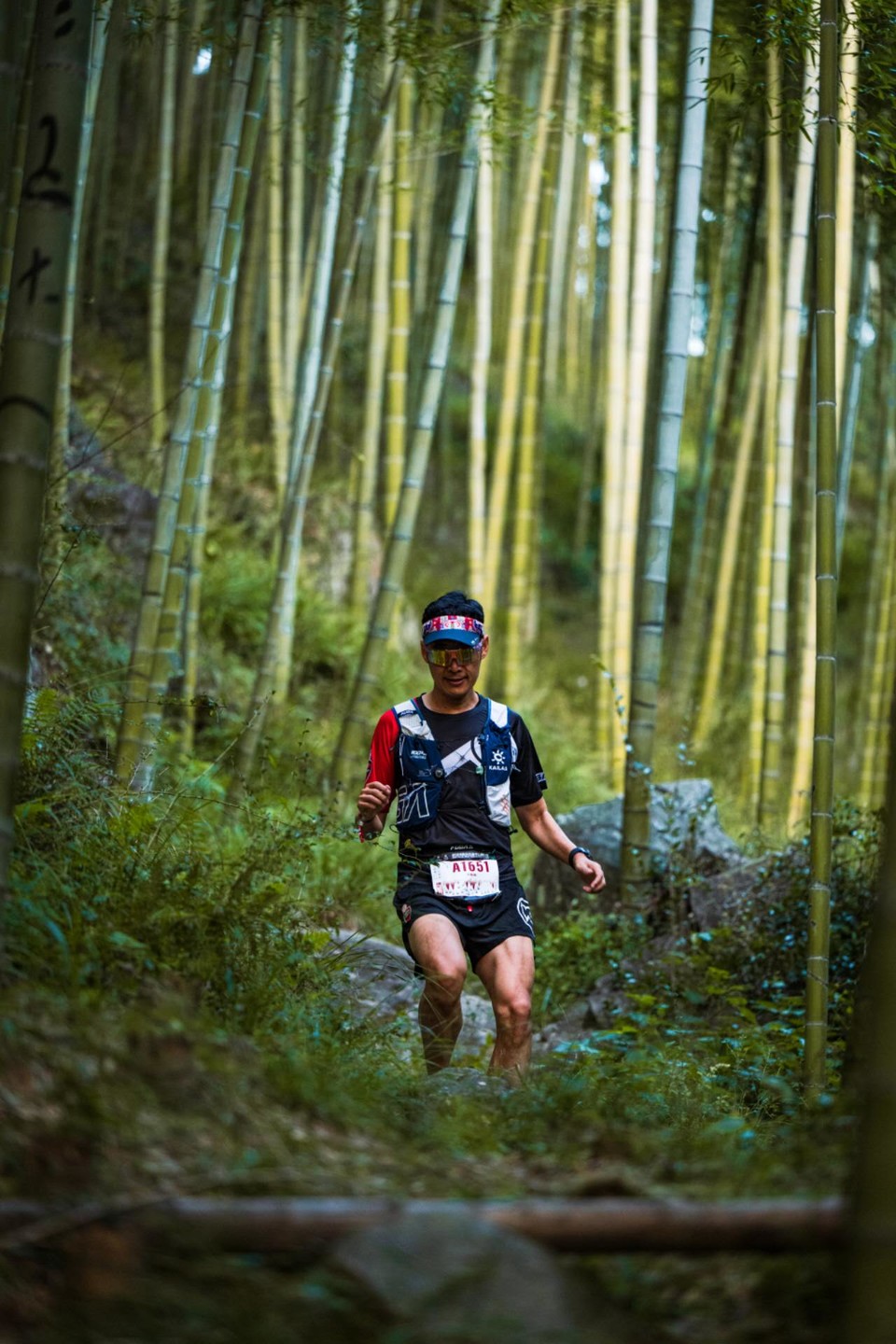 qd1vRBfeO8gCJ43GGt3J2bmcKxGZNBe7yoyZNwqJVu0s5d5HdxksYHzO_gbpwXji