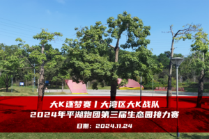 大K逐梦赛丨大湾区大K战队：2024年平湖跑团第三届生态园接力赛