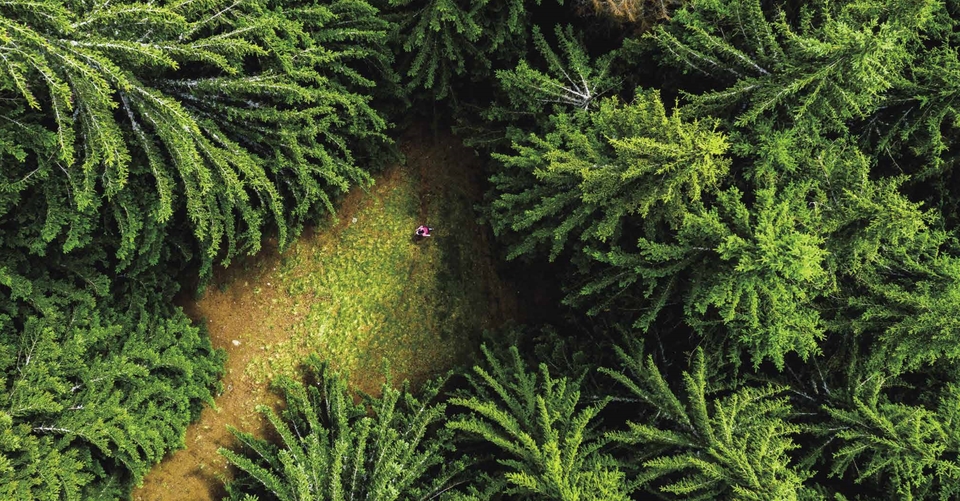 周年手册新小_52