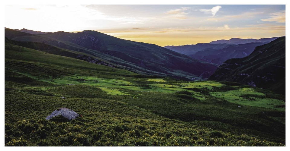 周年手册新小_28