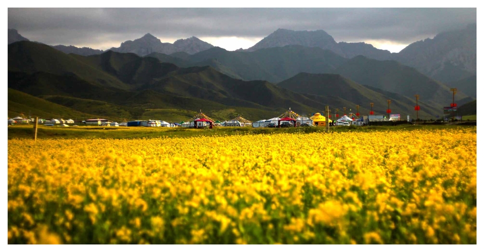 周年手册新小_27