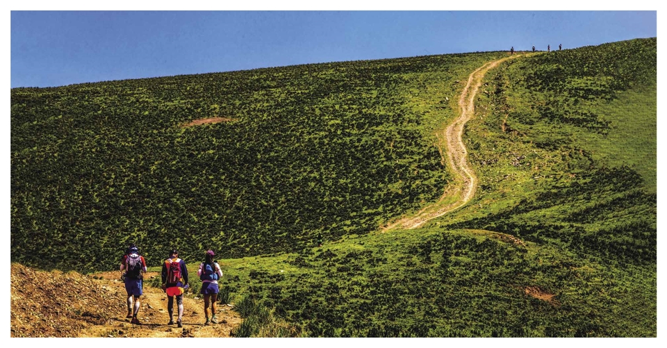 周年手册新小_17