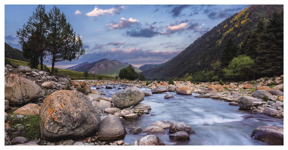 周年手册新小_12