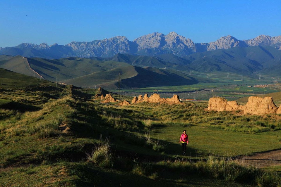 64_353535_448b314a6f63be9