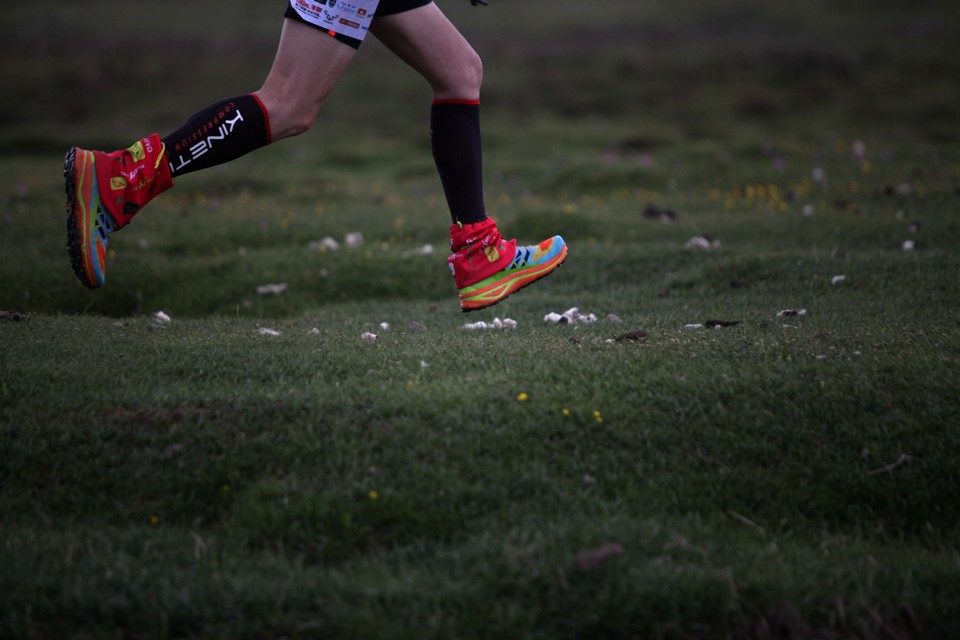 IMG_2077_副本_副本