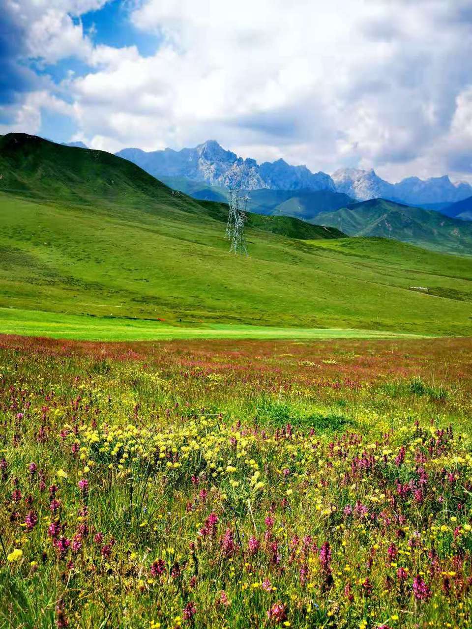 微信图片_20190724215001