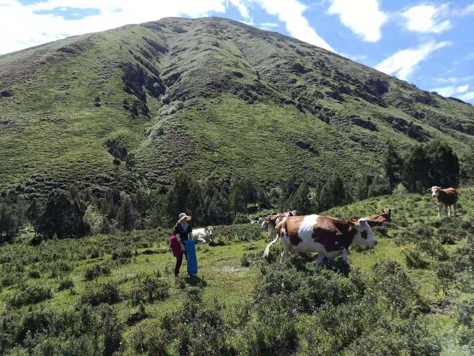微信图片_20190724215105