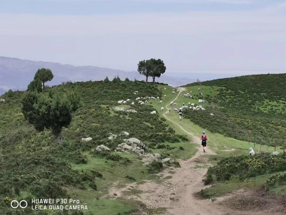 微信图片_20190724215117