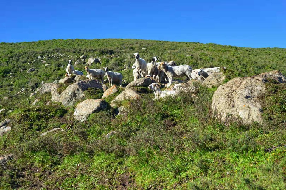 微信图片_20190724215129