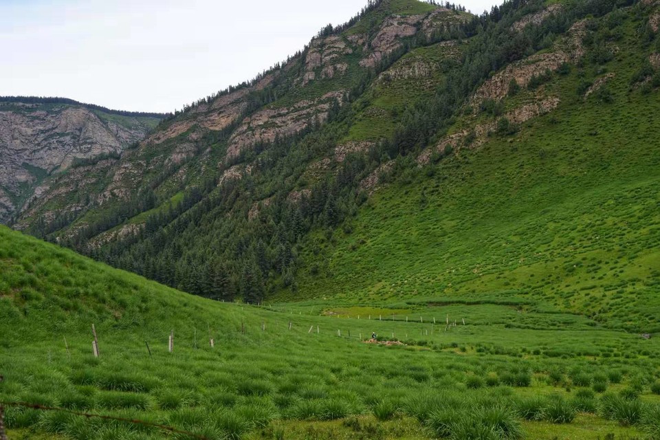 微信图片_20190724215225