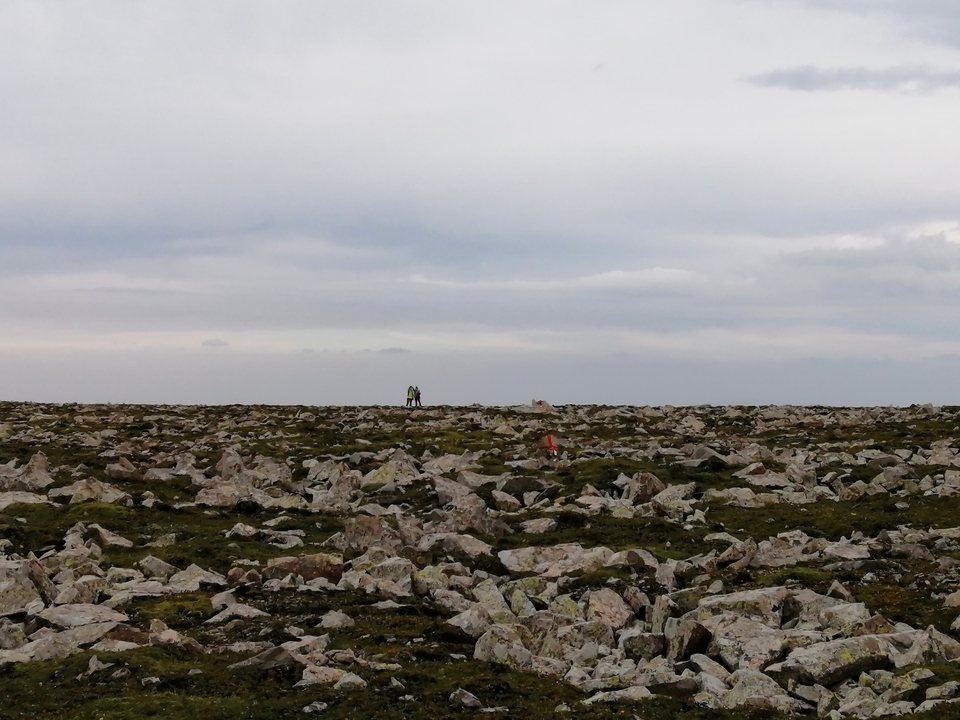 微信图片_20190724215416