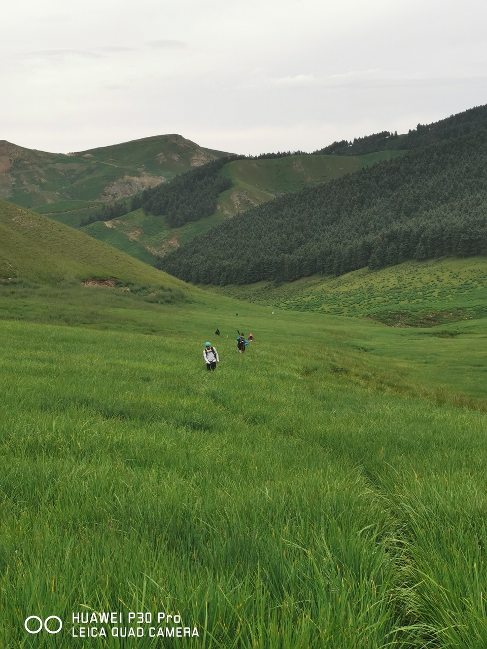 微信图片_20190724215938