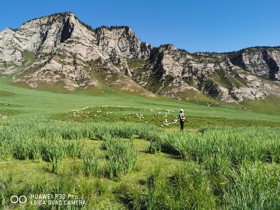 微信图片_20190724220005