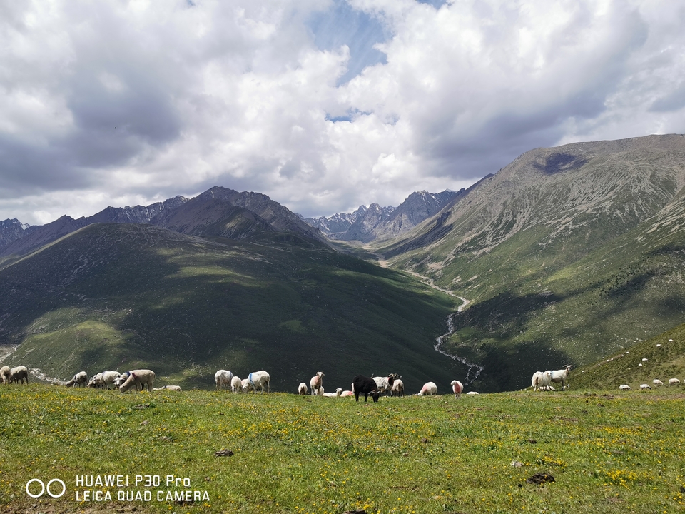 微信图片_20190724220032