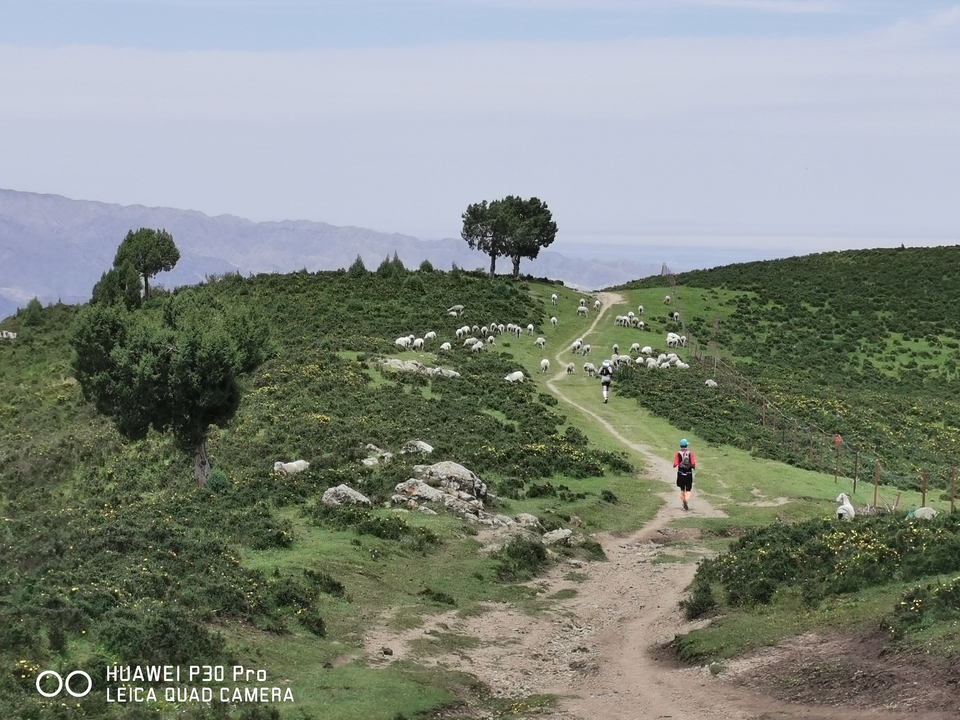 微信图片_20190724220050