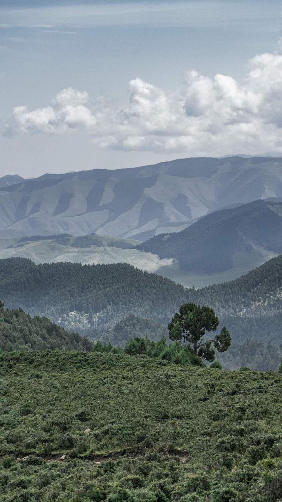 微信图片_20200824210747