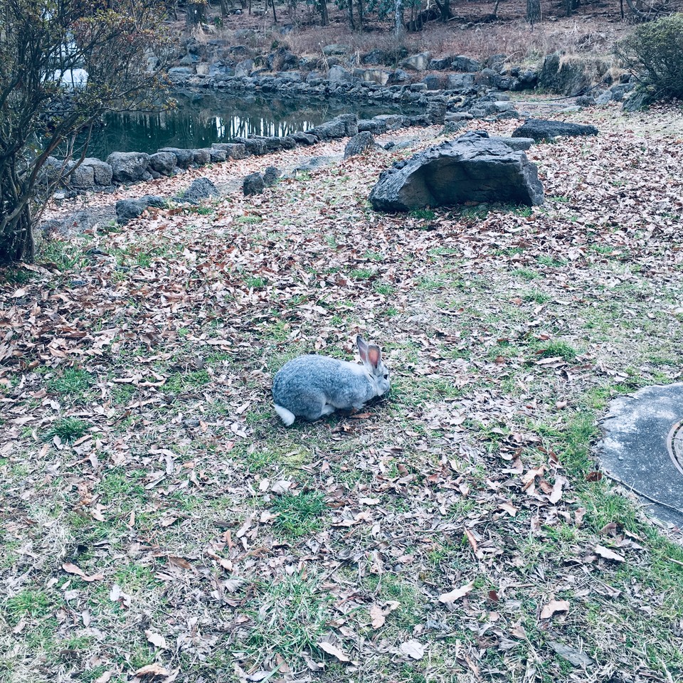 微信图片_20230302202854