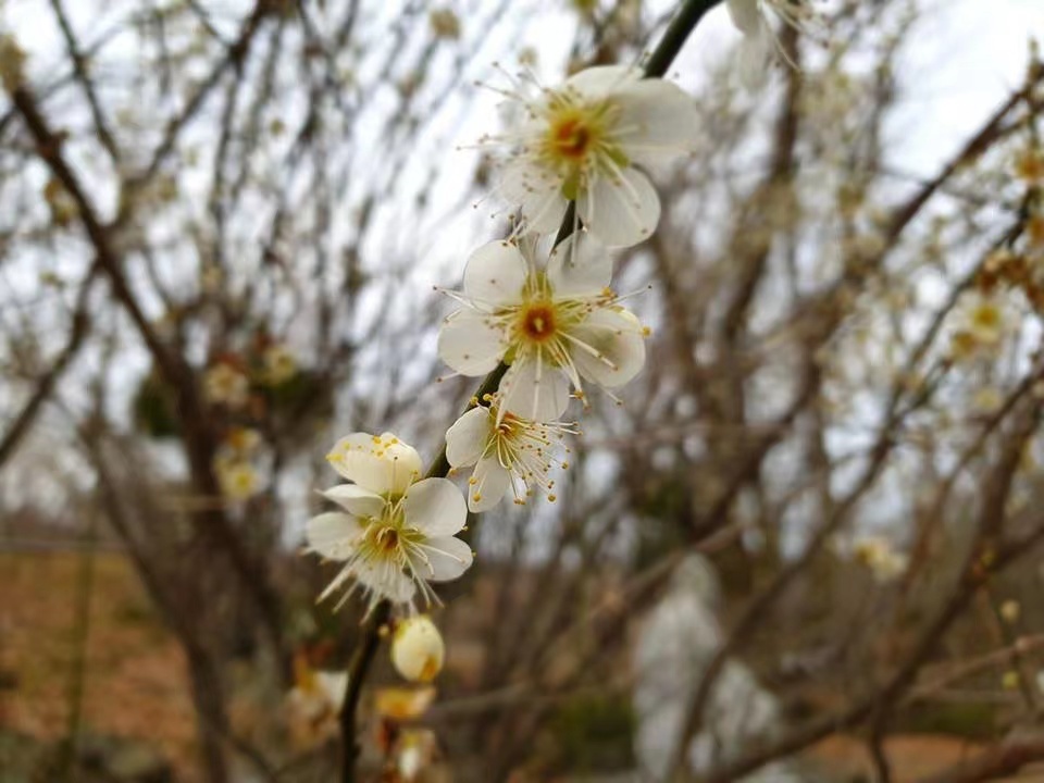 微信图片_20230303094538