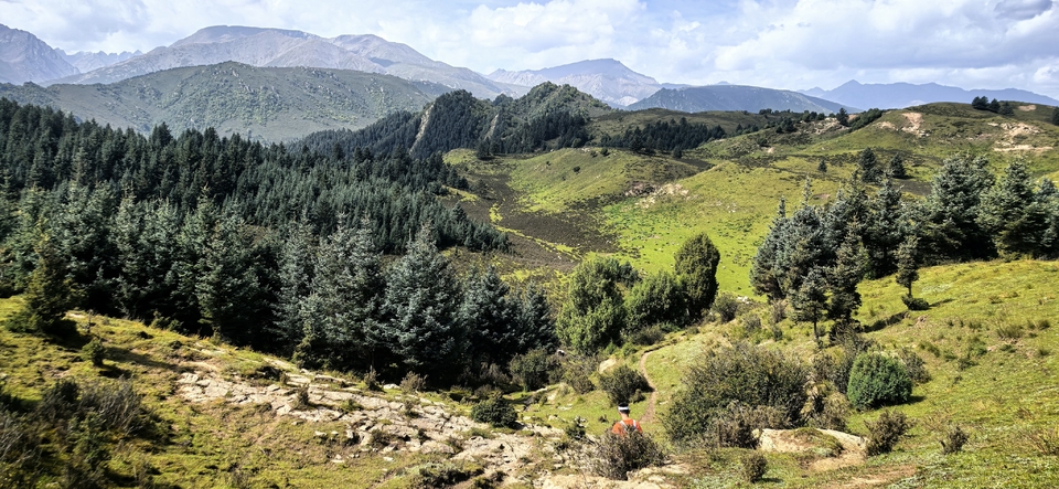 IMG_20250907_111749_edit_27578441763499