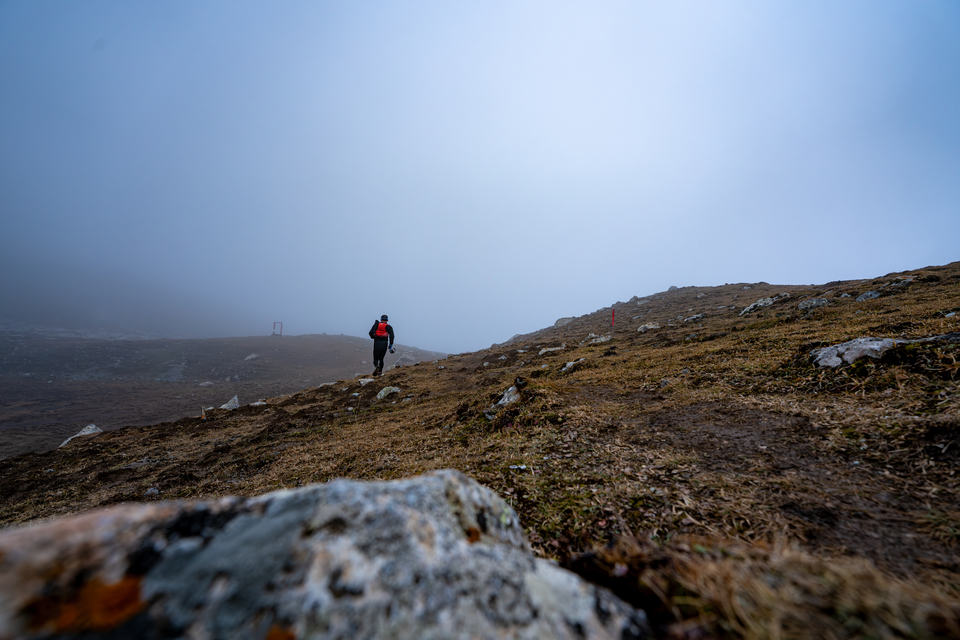 DSC00589-已增强-降噪