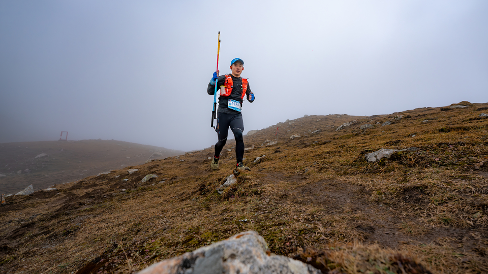DSC00582-已增强-降噪