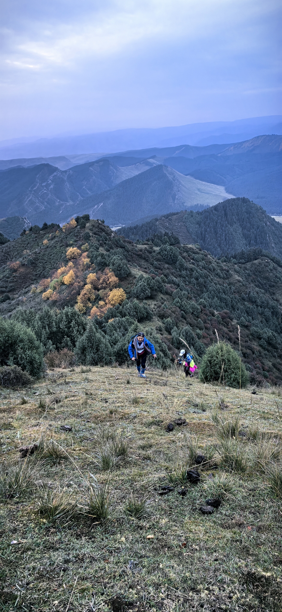 IMG_20250927_071101_1