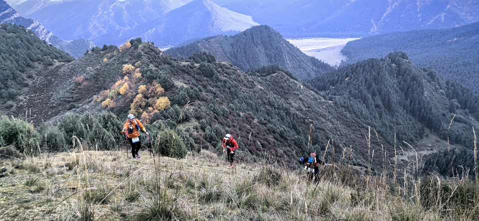 IMG_20250927_071553_1