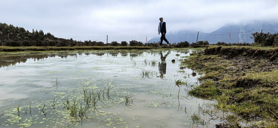 IMG_20250927_121615_3_edit_40473867559449