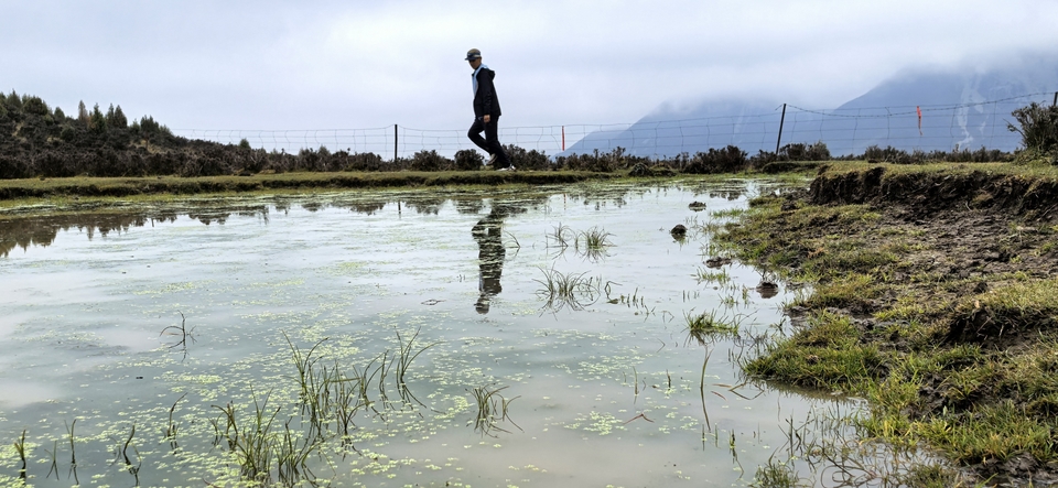 IMG_20250927_121616_2_edit_40437238486017