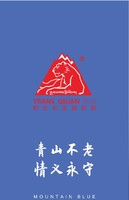 野性祁连越野跑线上跑