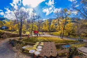 11月24号（周日）尤溪中仙龙门场银杏林赏秋美拍一日活动 