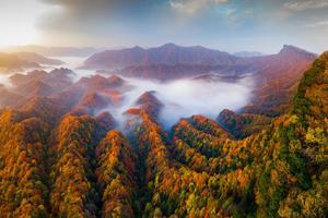 光雾山秋意（5天4晚深度赏秋休闲游）