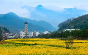 赴一场，春日约会3.15-16