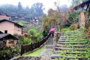 【行走的力量 · 桂峰古道】2021年11月27-28日行走西坑峡岭桂峰古道二日露营活动