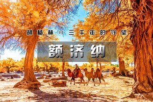 国庆5日｜额济纳胡扬林【特价1880】 