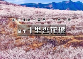 1日｜样边长城【特价88】