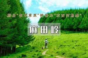 1日｜麻田岭【特价98】云中草原小天山の夏天20度的徒步体验-麻田岭10公里小环穿<初级强度>