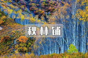 1日｜秋林铺•徒步赏秋｜闯入房山深处体验秋色秘境の共赴秋林铺童话之约