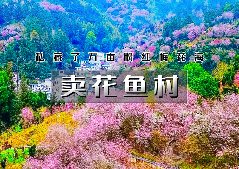 ▌▌印象头图.jpg