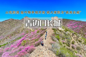 1日｜青边口【特价88】