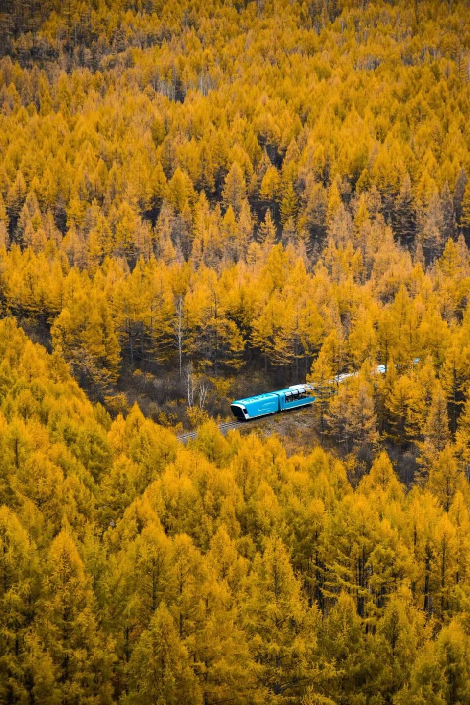 莫道尔嘎1