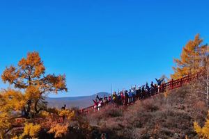 20250925阿尔山—驼峰岭天池
