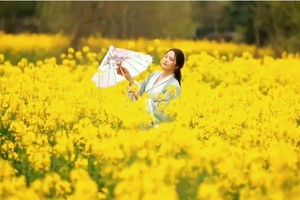 摄影活动【广汉三星堆码头咖啡】油菜花汉服摄影