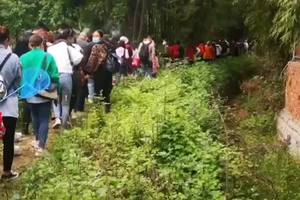 樱桃沟徒步摘樱桃