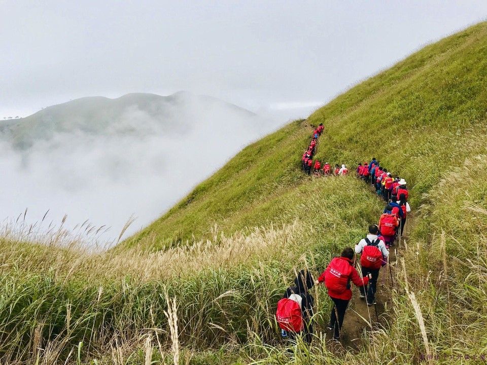 QQ图片20210323220440