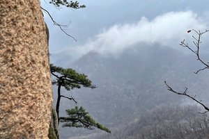 2021.4.5【乐平户外】嵩县杨山-小寨-大寨徒步穿越12公里